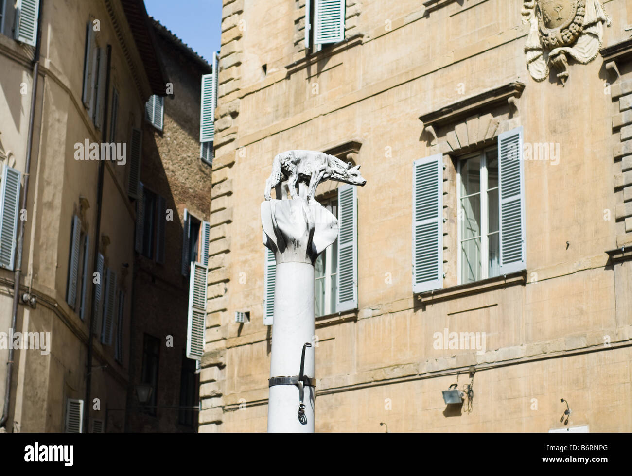 Elle statue Wolf- à Sienne, Toscane, Italie Banque D'Images