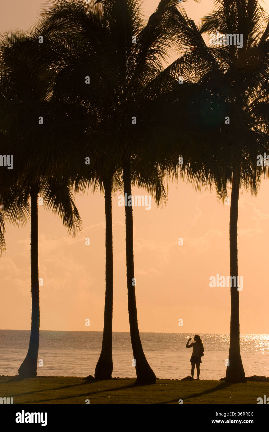 Une femme boit une bouteille d'eau sous les palmiers se découpant au lever du soleil sur l'estran au Port Douglas, Queensland Banque D'Images