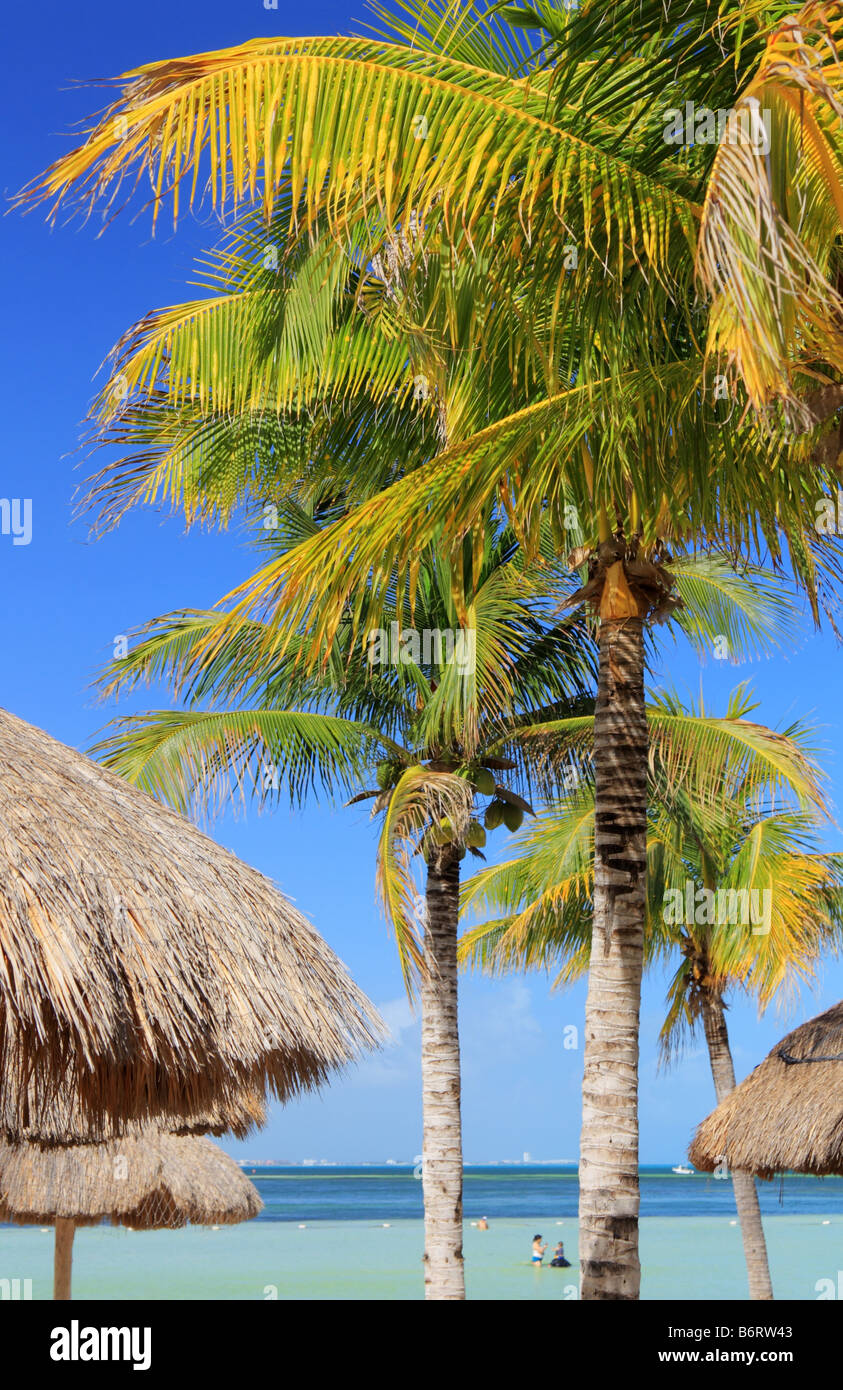 Cancun beach sous de hauts cocotiers et des huttes Banque D'Images
