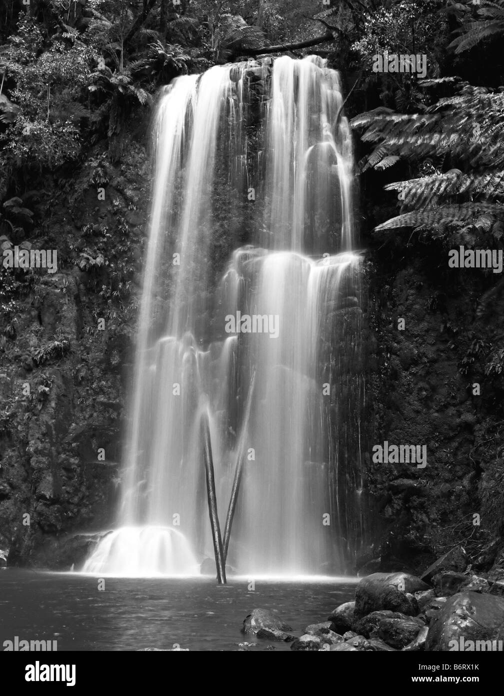 Une agréable Beauchamp Falls au coeur du grand Parc National d'Otway Australie Banque D'Images