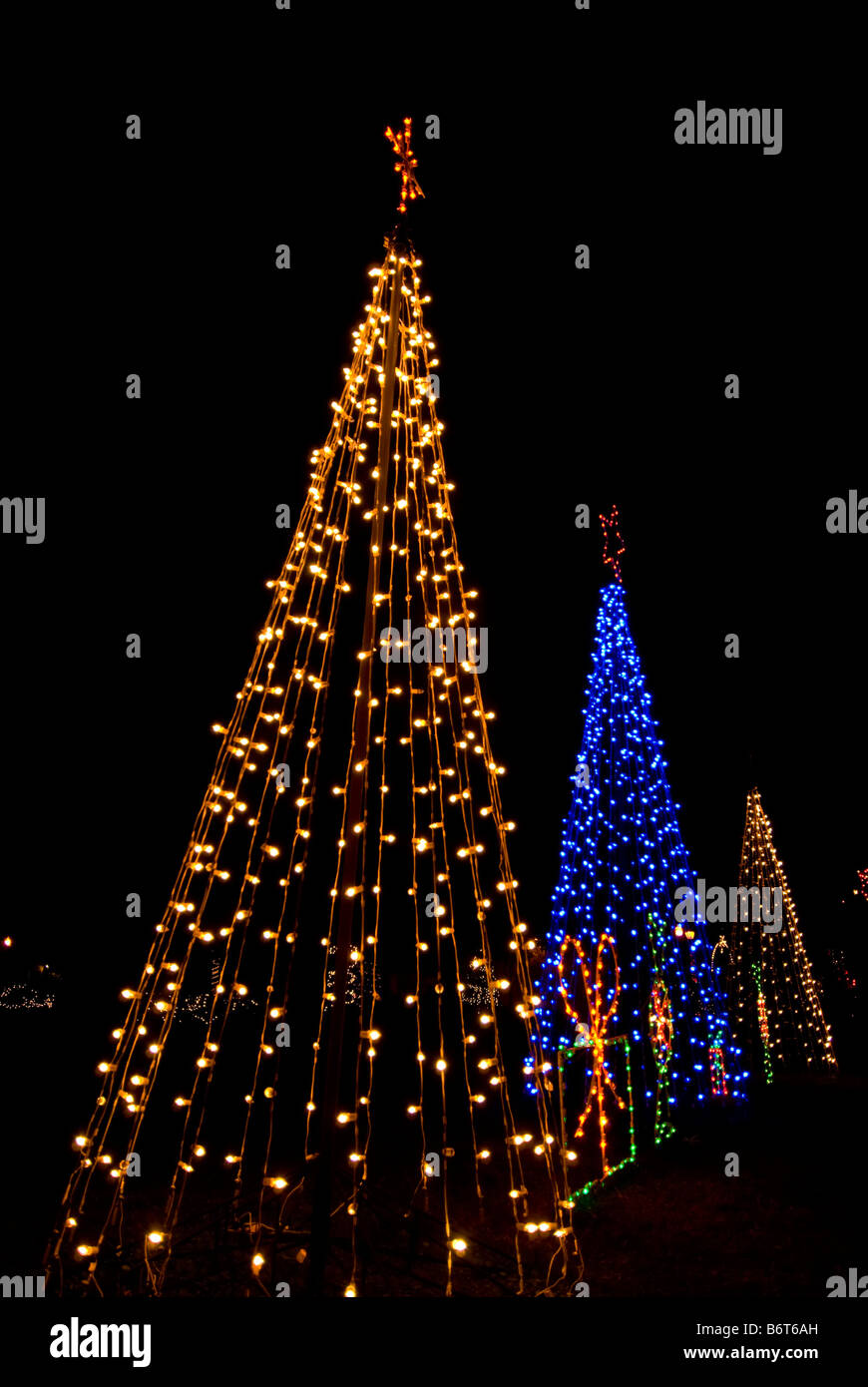 Les arbres de Noël trois couleurs deux feux blancs le feu bleu nuit de l'arbre de Noël fond sombre dramatique Banque D'Images