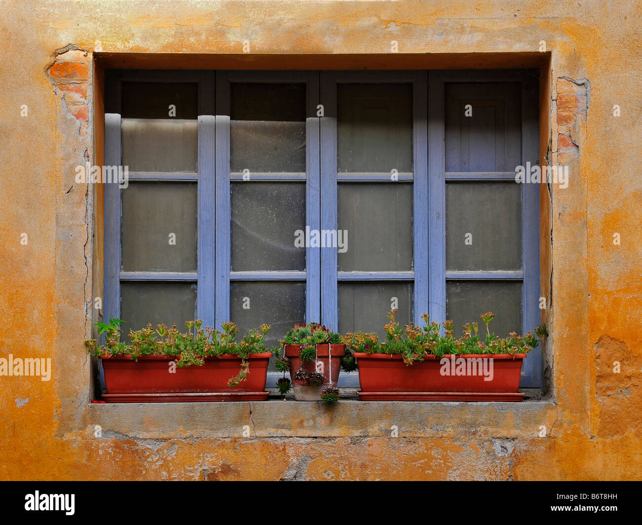 Châssis de fenêtre bleu vif brillant contre mur jaune rustique, et les pots de fleurs sur le rebord de la fenêtre Banque D'Images