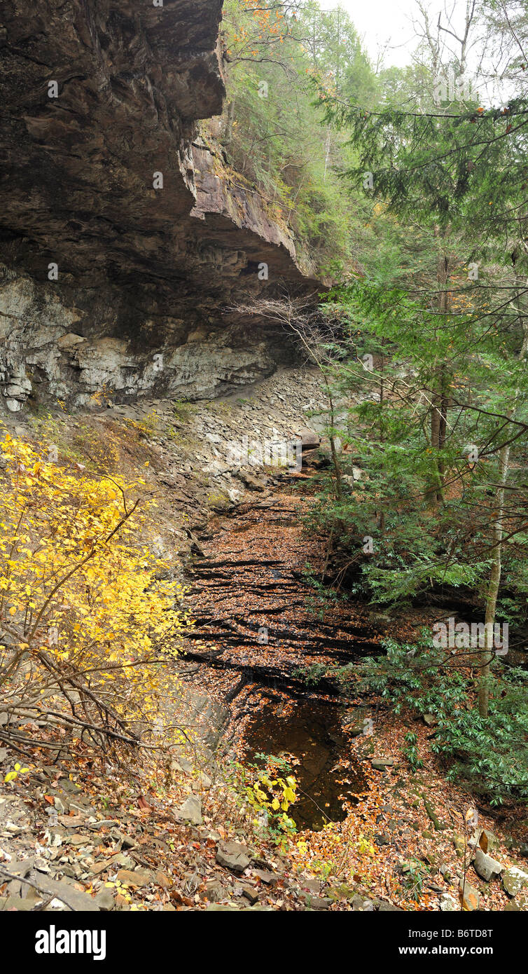 Sentier à Suter Falls Banque D'Images