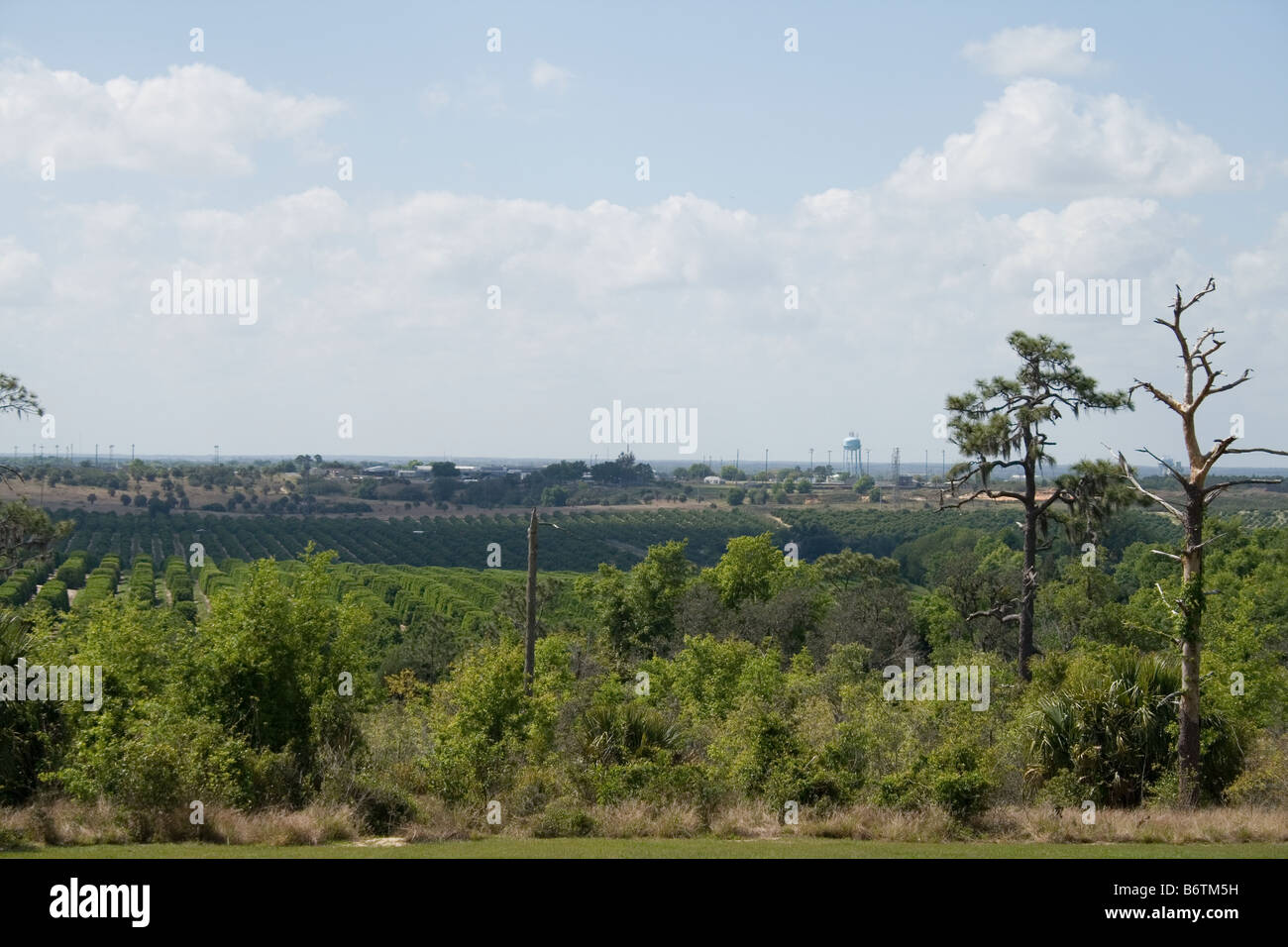 Vue sur Lake Wales, en Floride, du jardins de la tour Bok Sanctuary. Banque D'Images