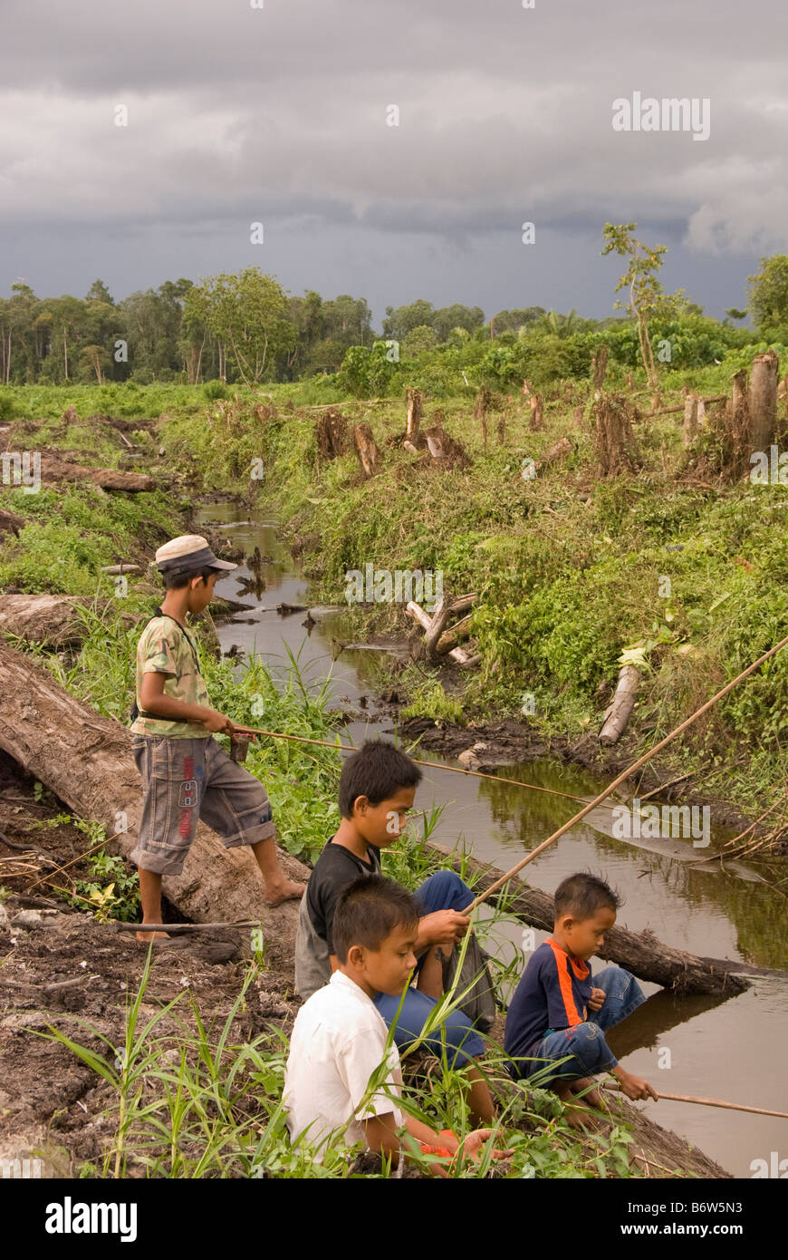 Pêche enfants indonésiens dans un canal de vidange à couper la forêt de tourbe swamp après déforestation Banque D'Images