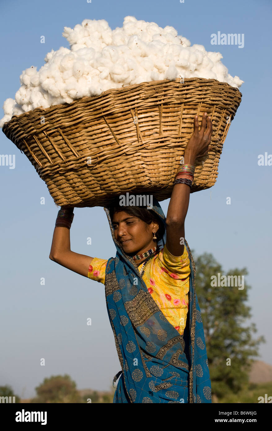 L'Inde M.P. Khargone , équitable et biologique du coton Banque D'Images