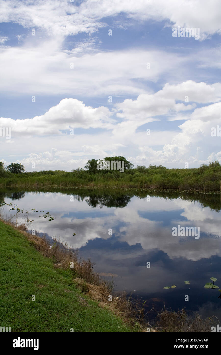 Canal dans les Everglades de Floride Banque D'Images