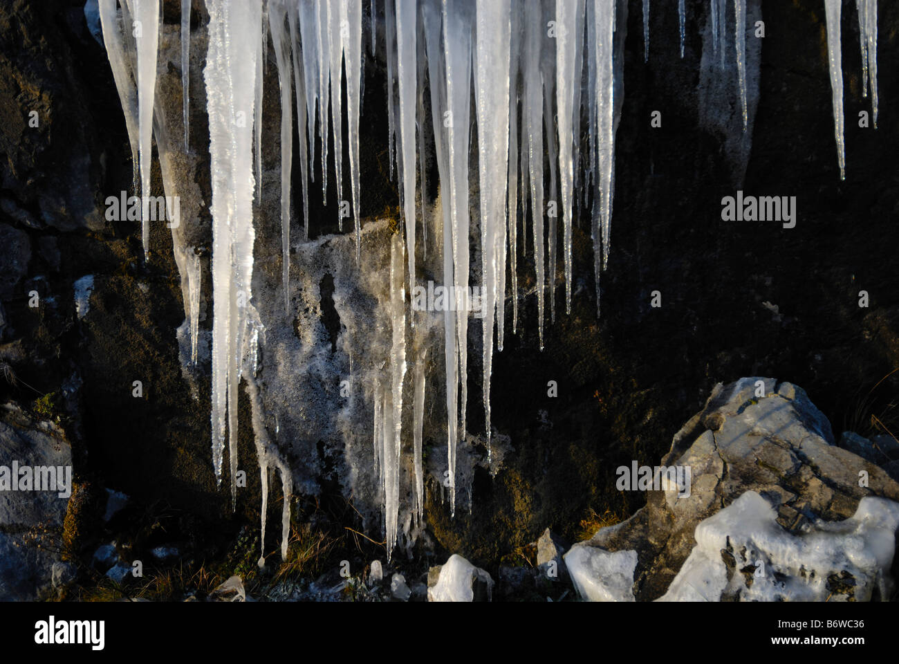 Melting icicle formations, Glenshee, Scotland Banque D'Images