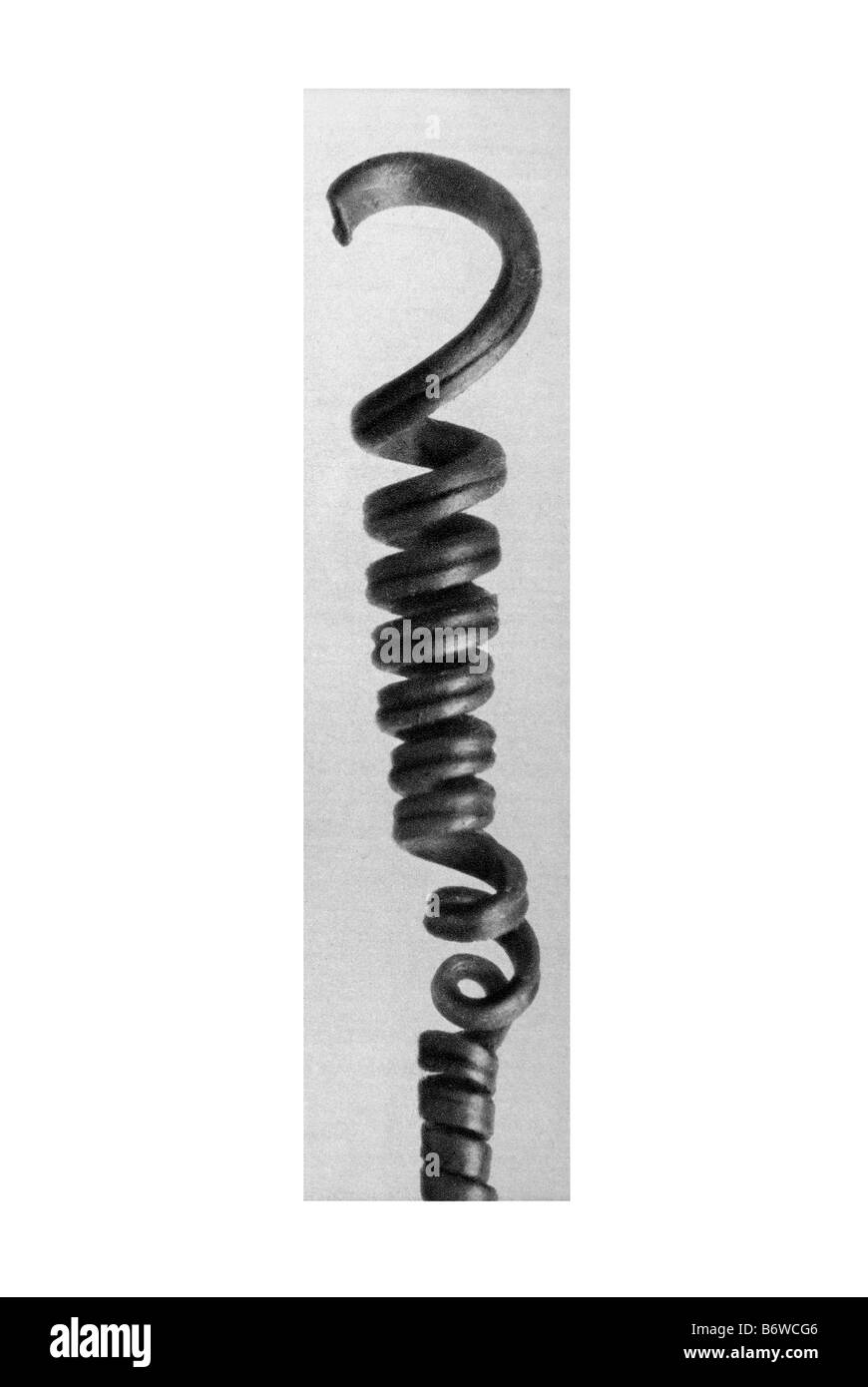 citrouille Banque D'Images