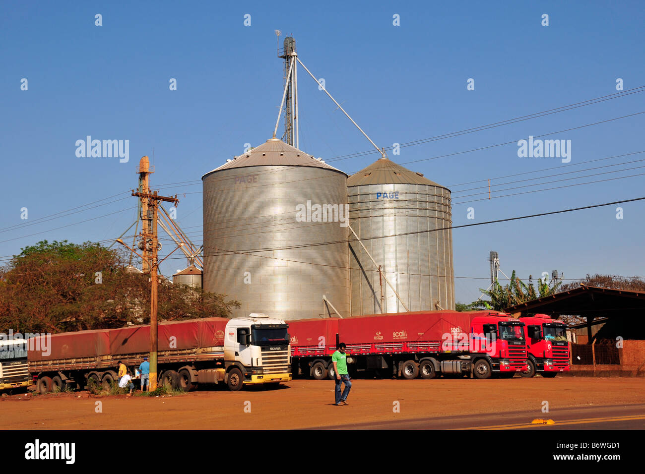 SIlo à grains en Maracaju Mato Grosso do Sul, Brésil Banque D'Images