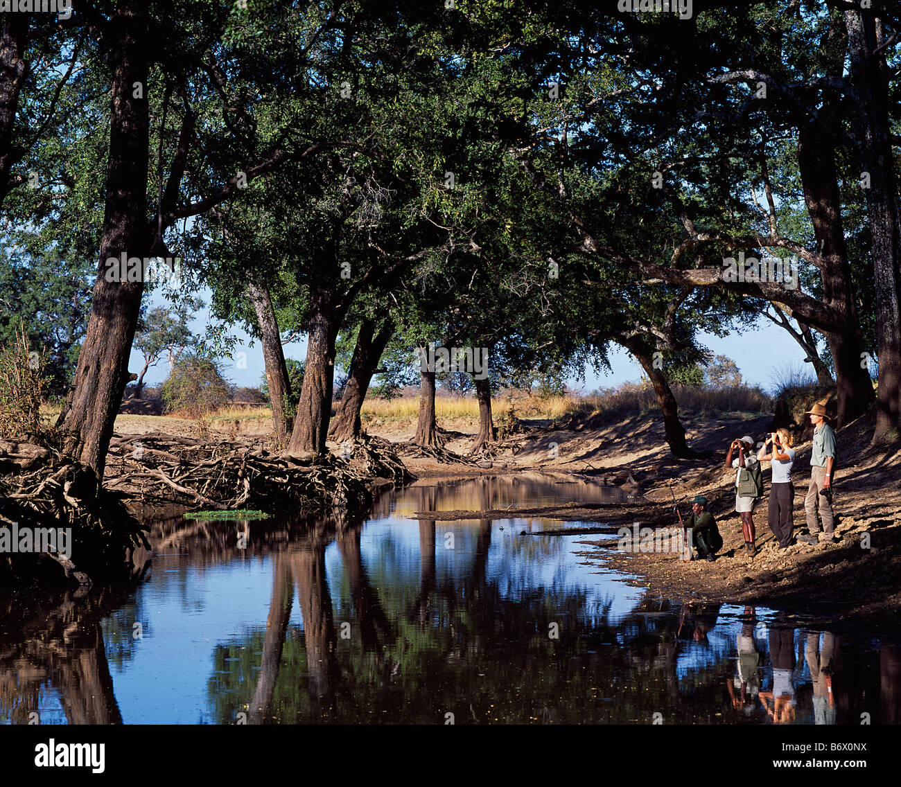 La Zambie, le parc national de South Luangwa, Shenton Safaris. Groupe sur une promenade guidée s'arrêter à un lagon au soleil. Banque D'Images