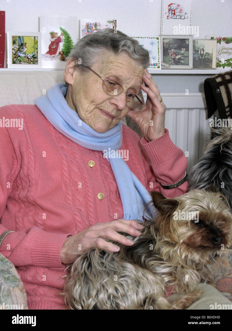 Vieille Femme se sentir triste malheureux à Noël assis avec son animal de compagnie yorkshire Banque D'Images
