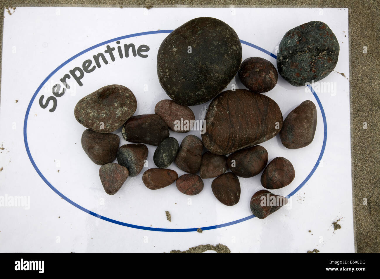 Sortie géologie galets serpentine cornwall coverack Banque D'Images