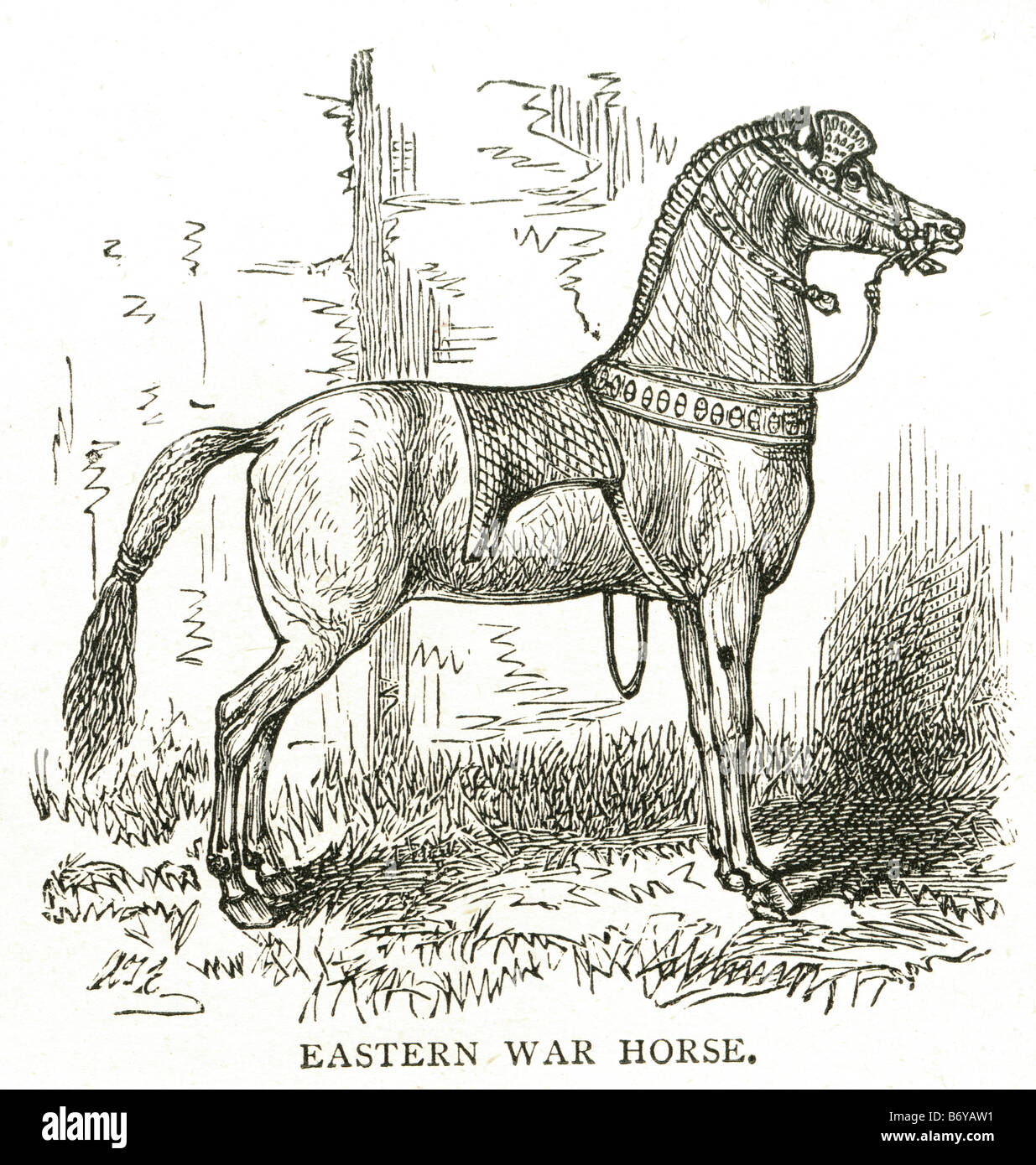 Cheval de guerre de l'est guerre breastcollar ordonnances char tack effectuer relativement légères bows spears javelots rifles Banque D'Images