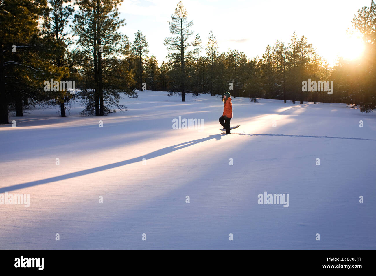 Une jeune femme en raquettes à neige fraîchement tombée au coucher du soleil dans la région de Flagstaff, Arizona. Banque D'Images