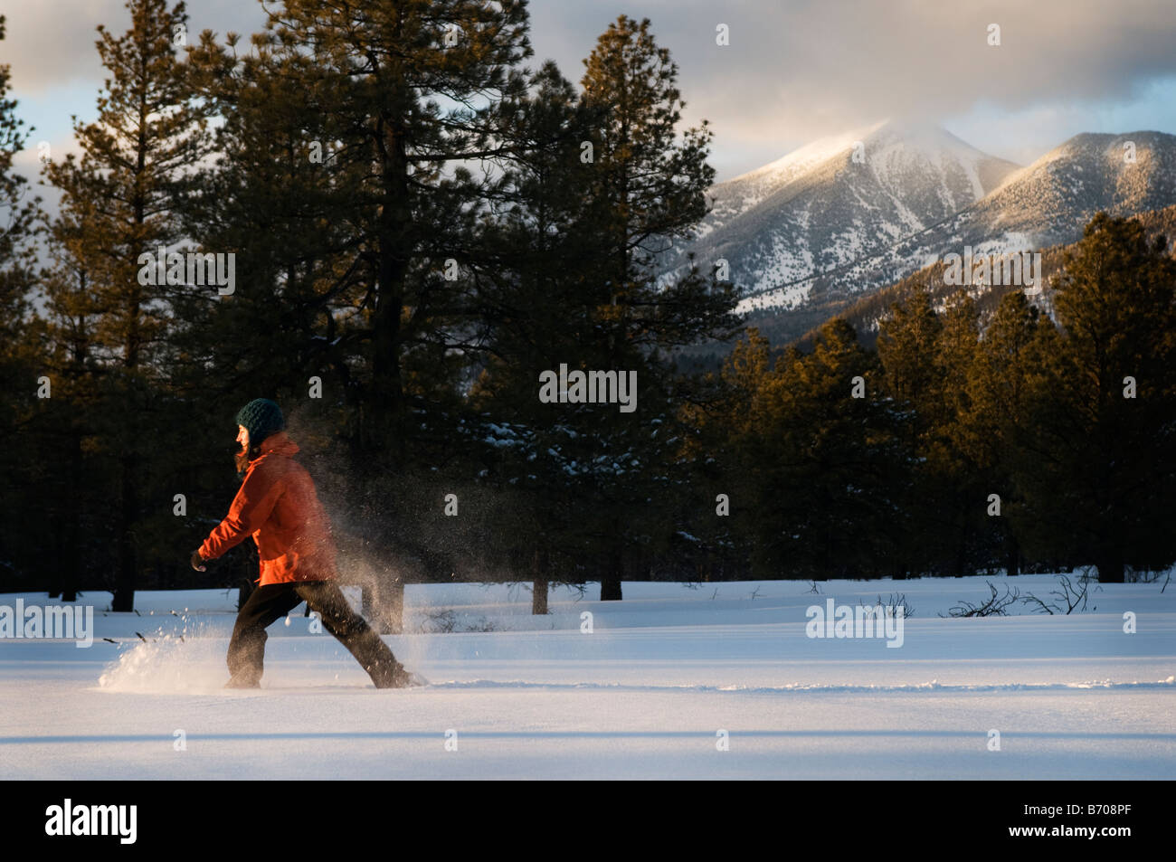 Une jeune femme en raquettes à neige fraîchement tombée au coucher du soleil dans la région de Flagstaff, Arizona. Banque D'Images