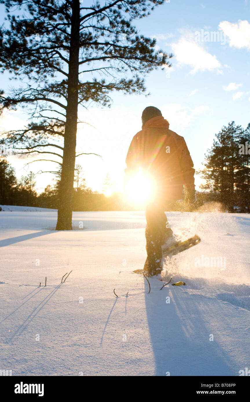 Une jeune femme en raquettes à neige fraîchement tombée au coucher du soleil dans la région de Flagstaff, Arizona. Banque D'Images