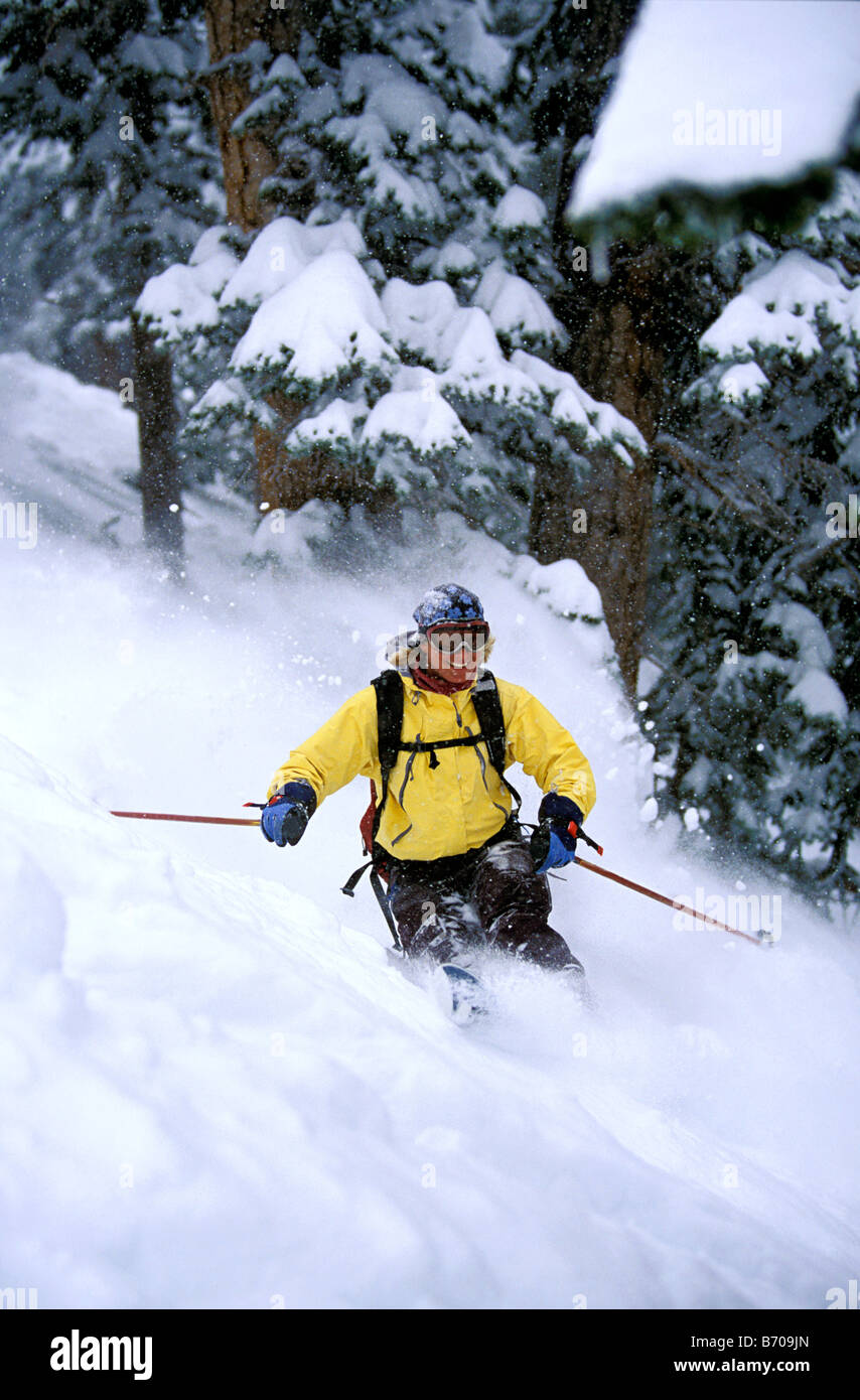 Femme skieur d'arrière-pays à travers des arbres et le ski de poudreuse. Banque D'Images