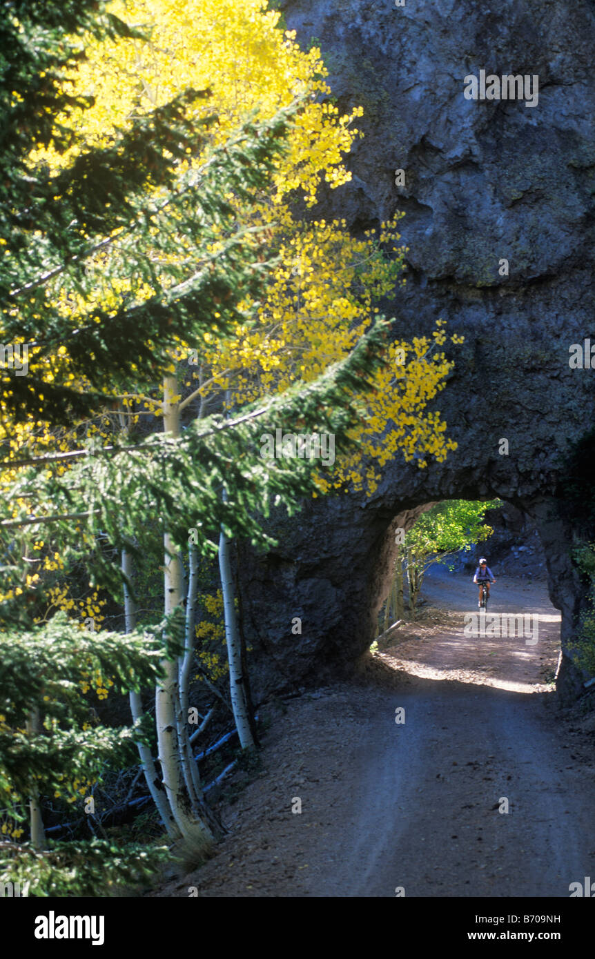 Une jeune femme ses pédales vtt à travers un tunnel de roche entourée de feuilles de peuplier en or dans les San Francisco Peaks près de F Banque D'Images