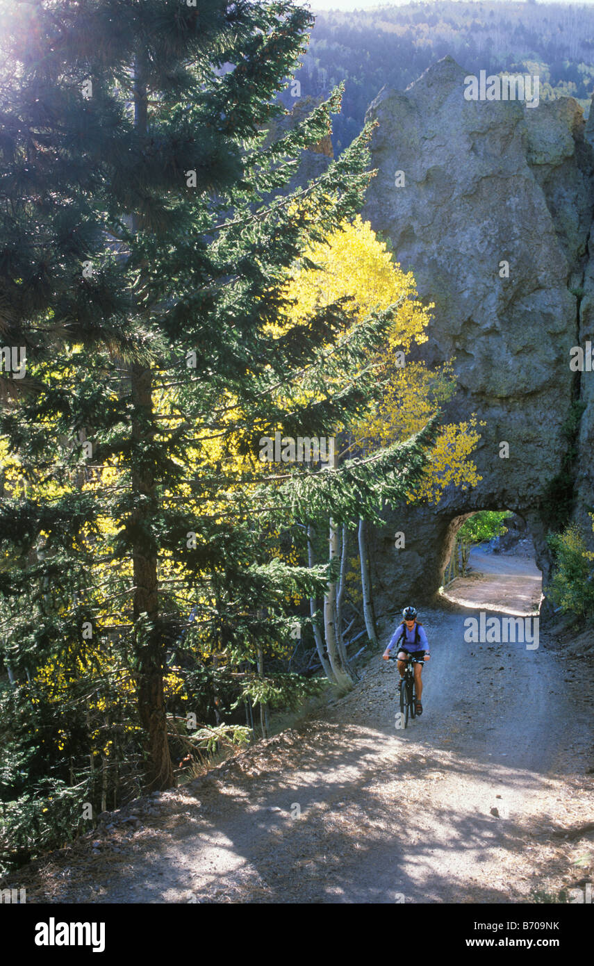 Une jeune femme ses pédales vtt à travers un tunnel de roche entourée de feuilles de peuplier en or dans les San Francisco Peaks près de F Banque D'Images