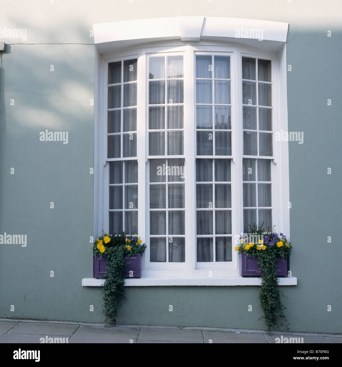 Close-up de printemps les jardinières sur white bay window Banque D'Images