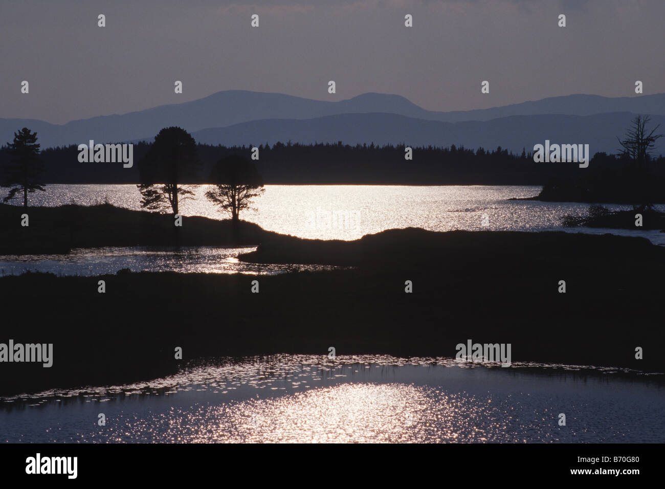 La région de Cloonee Lough, comté de Kerry, à la fin d'après-midi, avec les Macgillycuddy Reeks dans la distance Banque D'Images