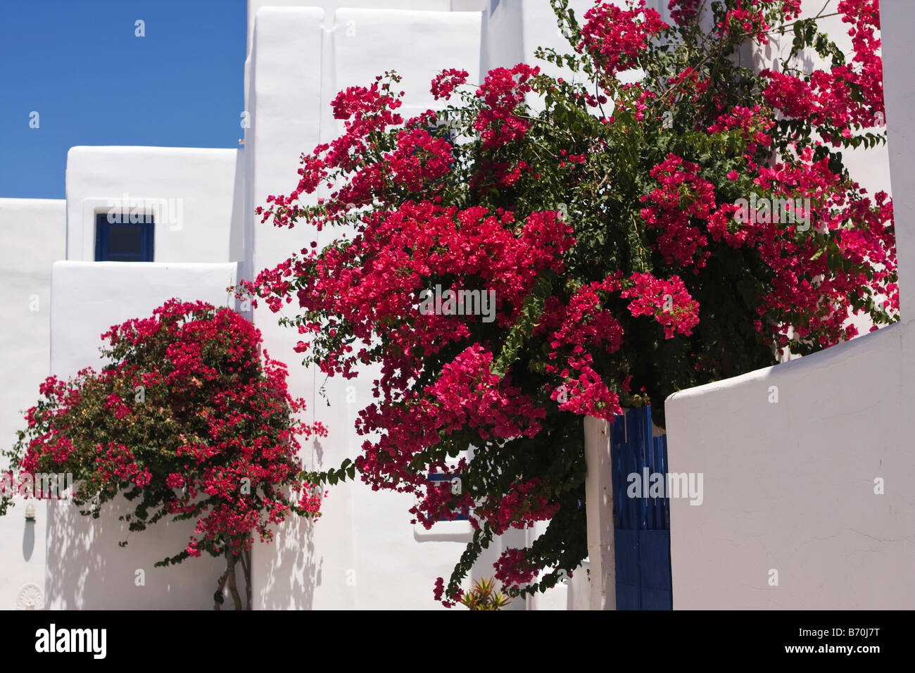 Scène de rue pittoresque de Naoussa, Paros, Cyclades, Grèce Le Banque D'Images