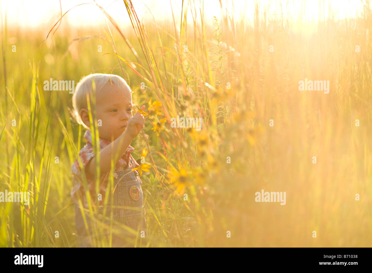 Enfant dans les graminées Banque D'Images