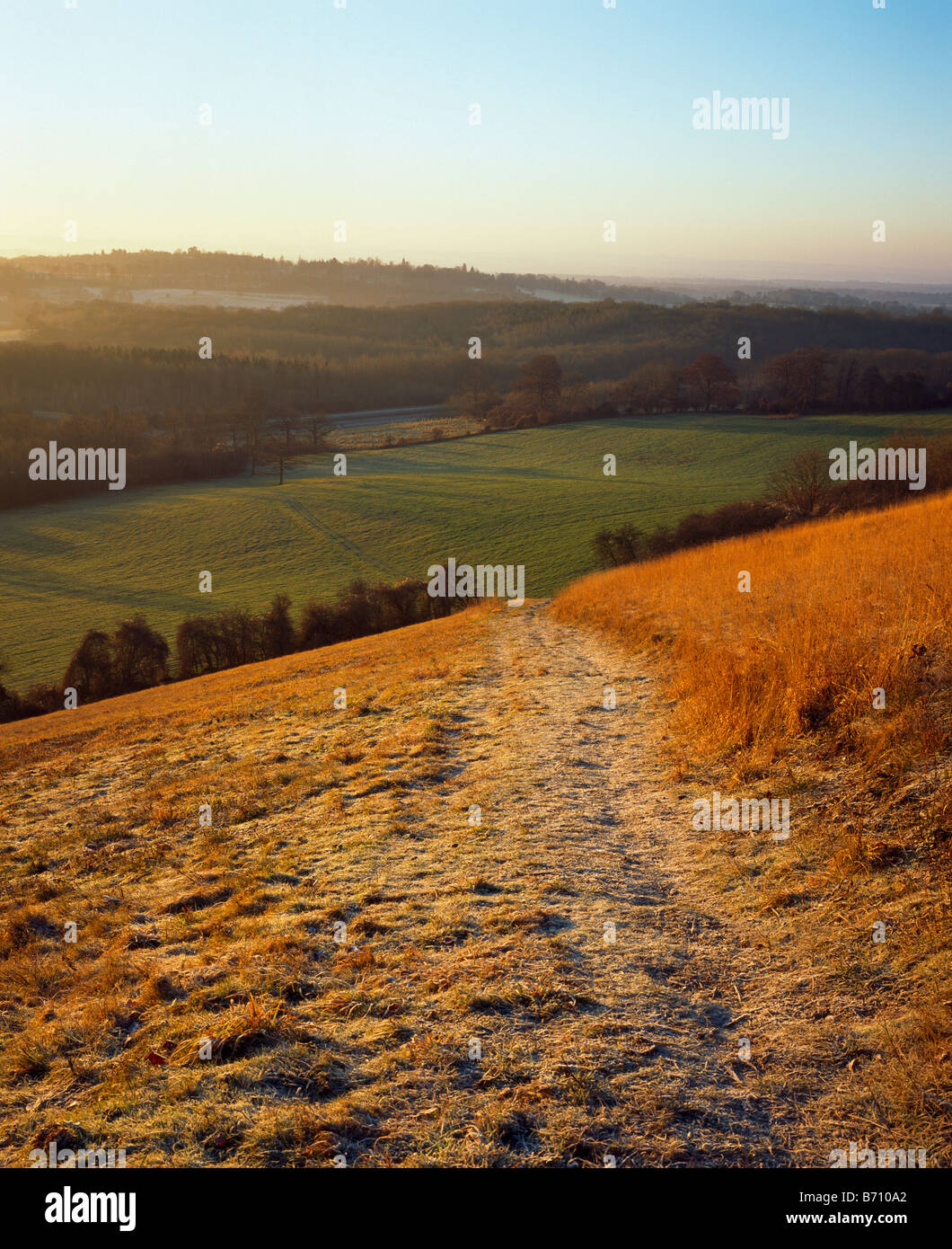 Vue sur les Dunes du Nord, Kent, Angleterre, Royaume-Uni. Banque D'Images