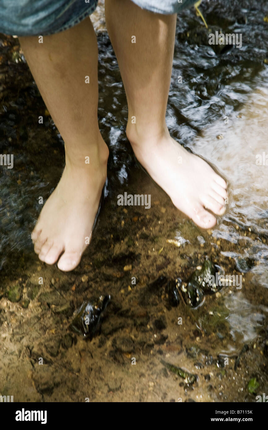 Les garçons les pieds dans un ruisseau sur un jour d'été Banque D'Images