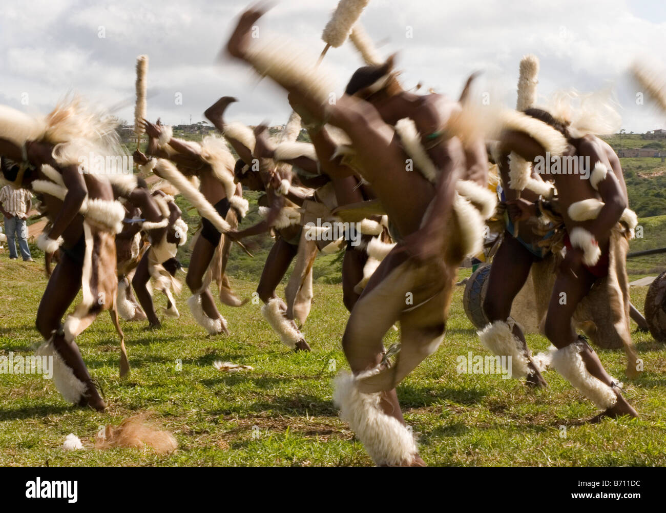 Zulu warriors montrent leur se déplace à un concours de danse dans la province de KwaZulu-Natal en Afrique du Sud. Banque D'Images