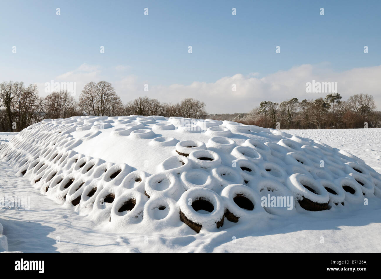 Fermeture de l'alimentation animale (maïs) recouvert de neige fraîche, sud-Touraine, France. Banque D'Images