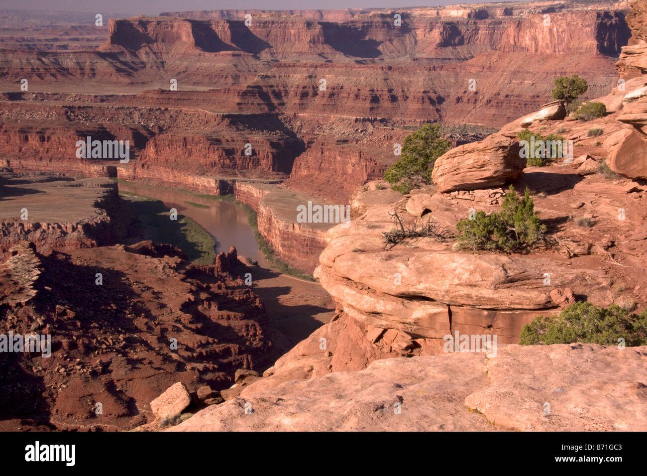 La Rivière Colorado s'approche du col de tôt le matin, vu de la jante donnent sur Dead Horse Point State Park en Utah Banque D'Images