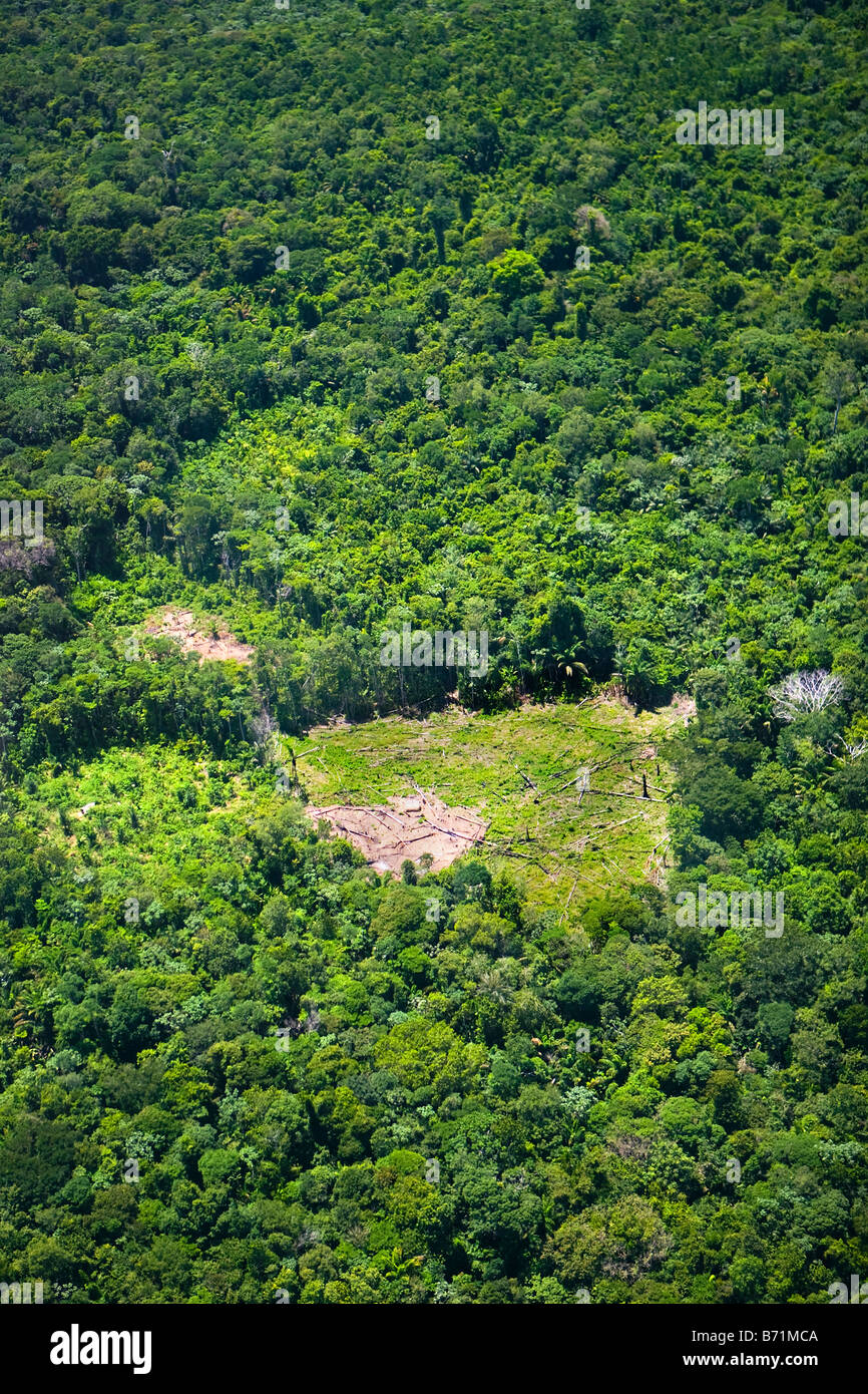 Le Suriname, Laduani, sur la rive de la rivière Suriname Boven. Vue aérienne de la forêt et zone déboisée, utilisé pour l'agriculture. Banque D'Images