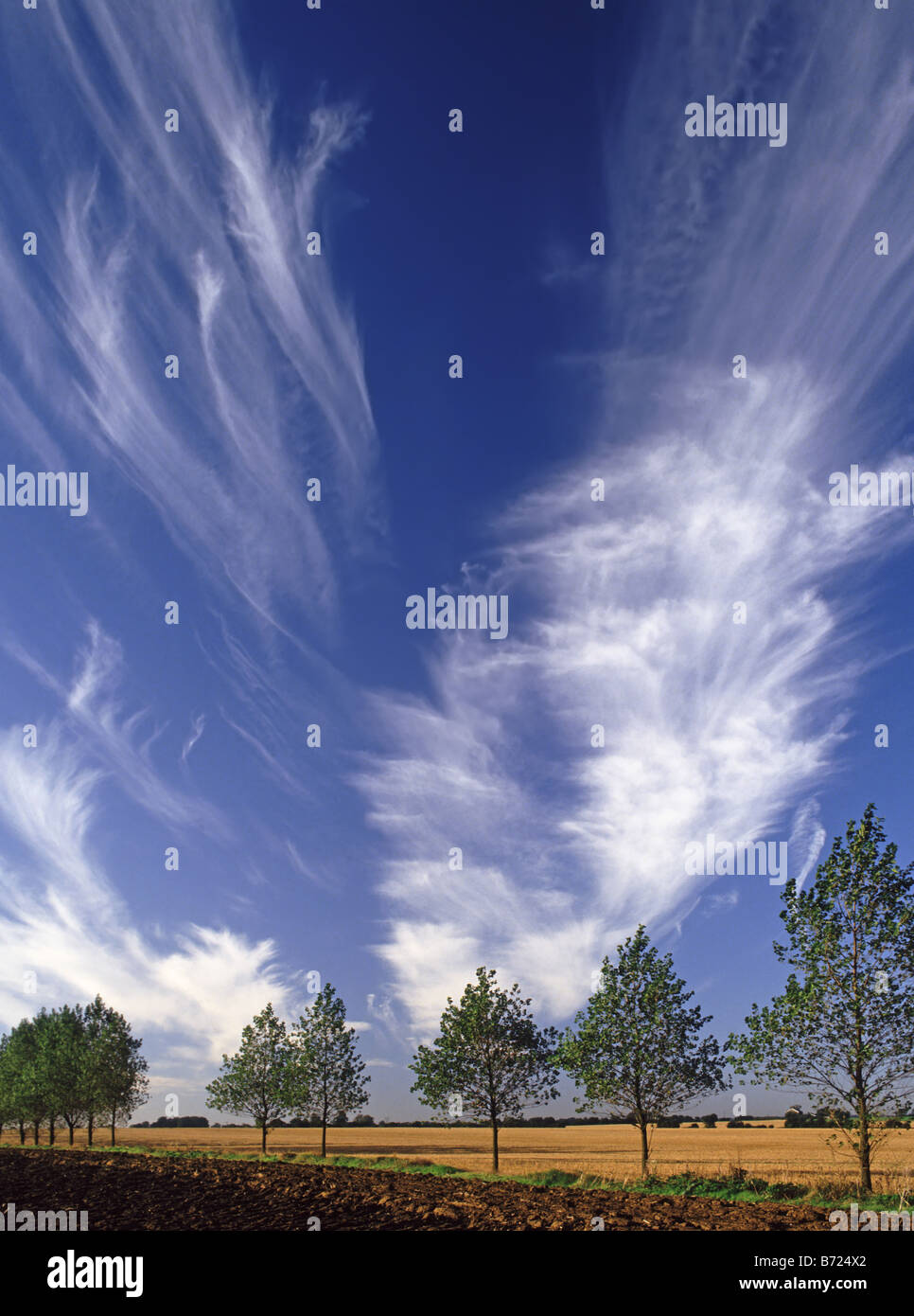 Des motifs de nuages spectaculaires sur les terres agricoles de Highwood, près de Chelmsford Essex, en Angleterre Banque D'Images