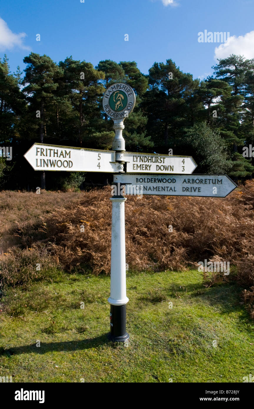 Panneau routier dans le parc national New Forest, Hampshire, England, UK Banque D'Images