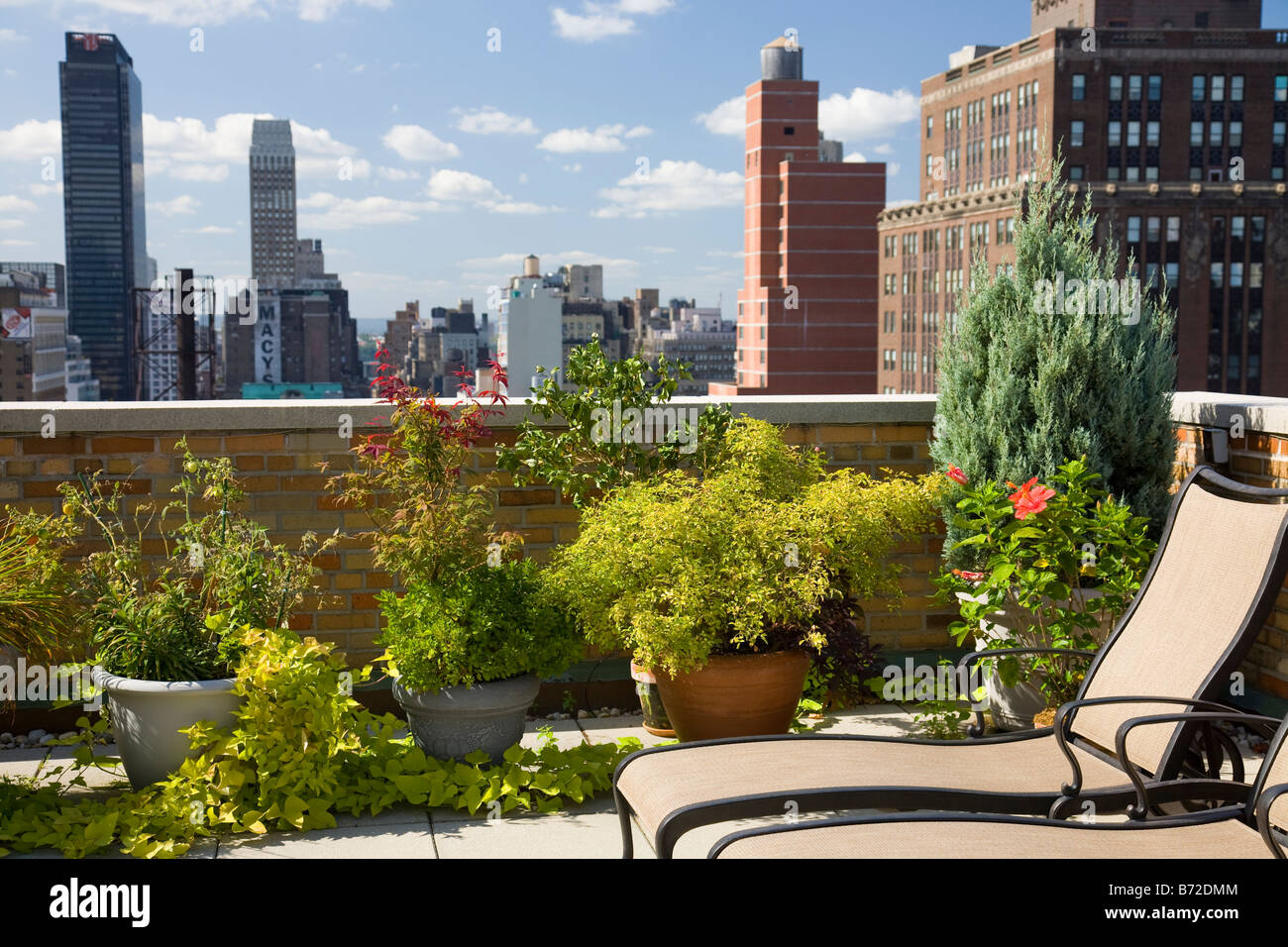 Terrasse-jardin urbain, NYC Banque D'Images