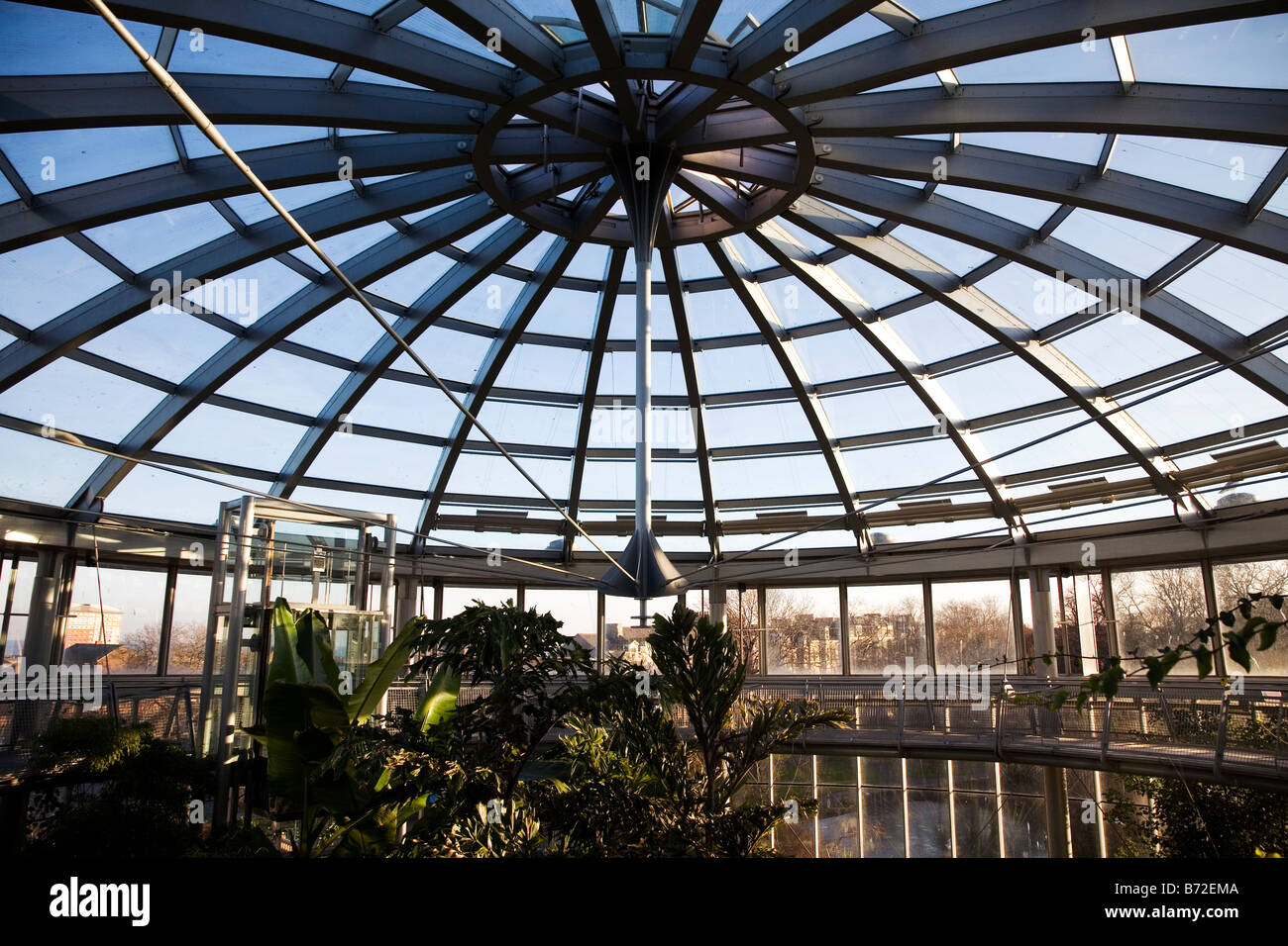 Les Jardins d'hiver de Sunderland Museum. Stand de plantes tropicales dans un climat environnement contrôlé à côté de Mowbray Park. Banque D'Images