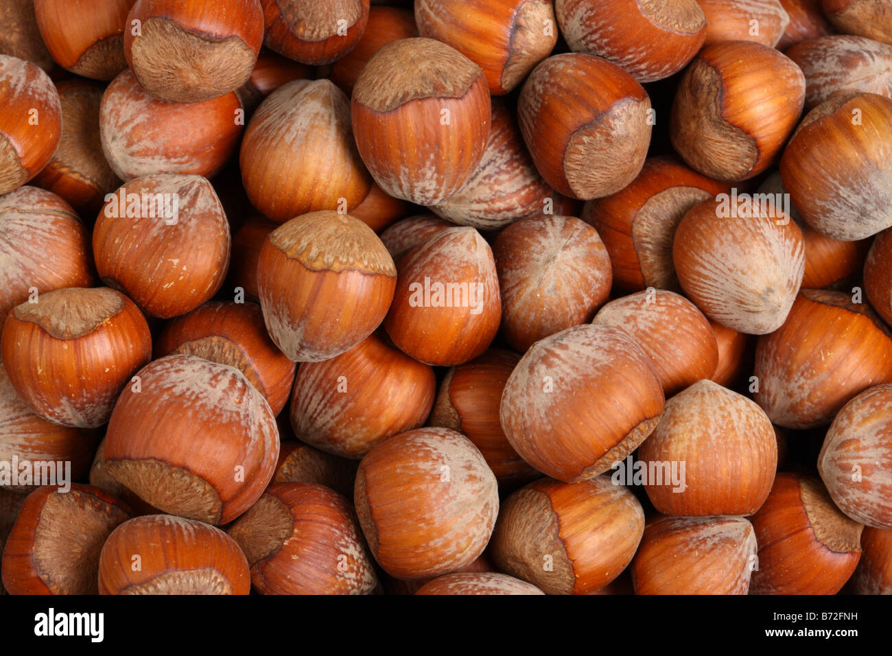 La texture de fond de noisettes Banque D'Images