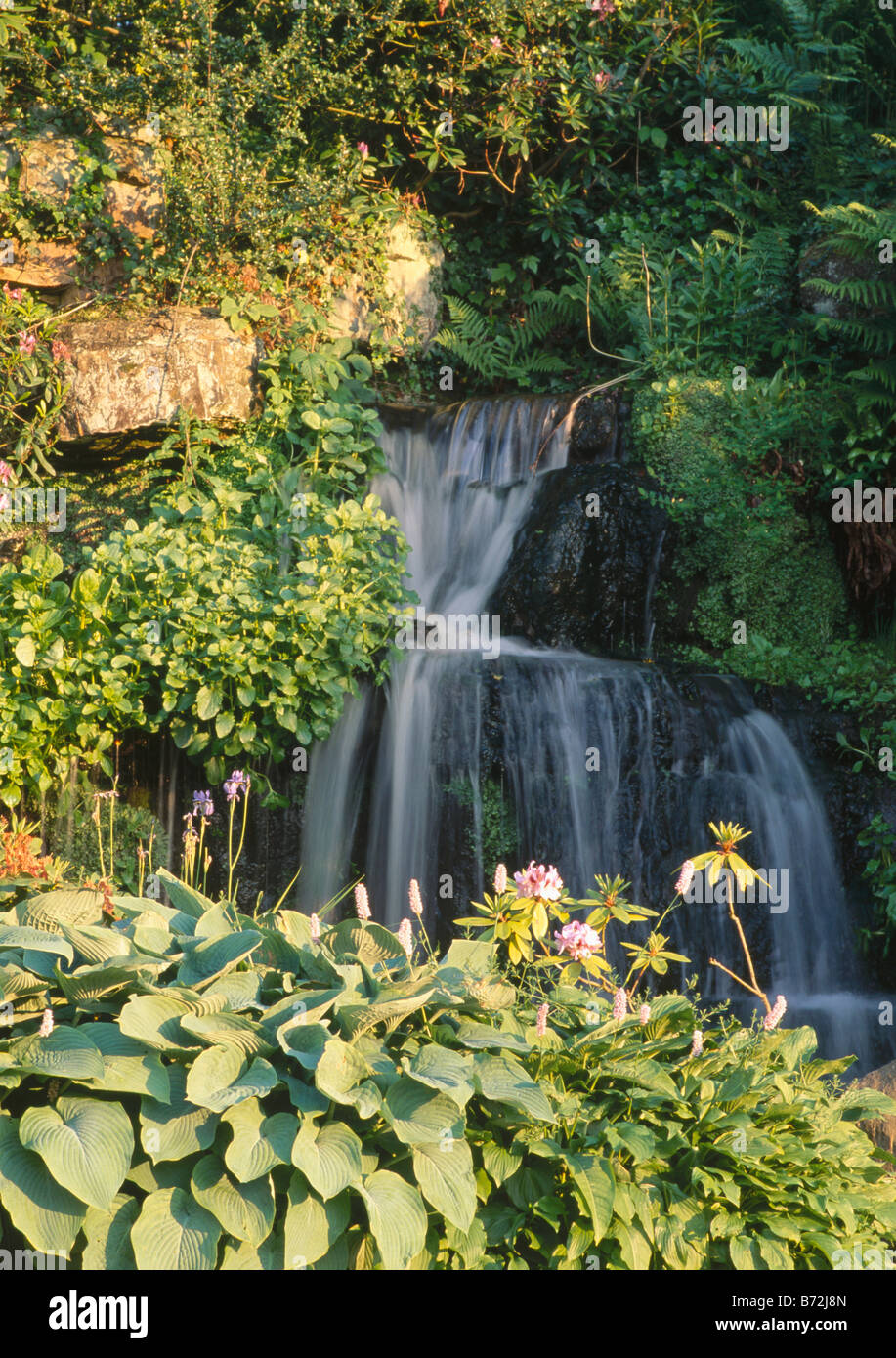 Cascade dans le pays avec le jardin des hostas croissant sur le flux de la banque Banque D'Images