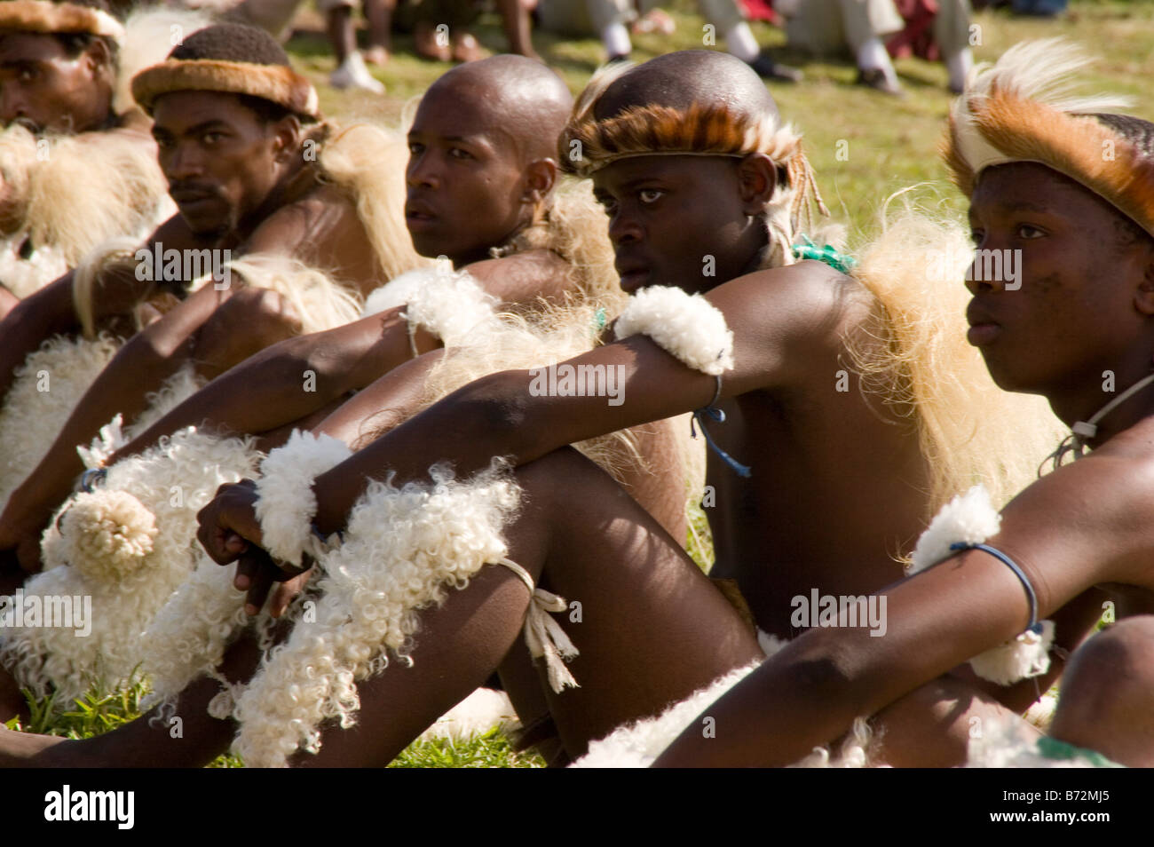 Les guerriers zoulous attendre leur tour pour montrer leur se déplace à un concours de danse dans la province de KwaZulu-Natal en Afrique du Sud. Banque D'Images