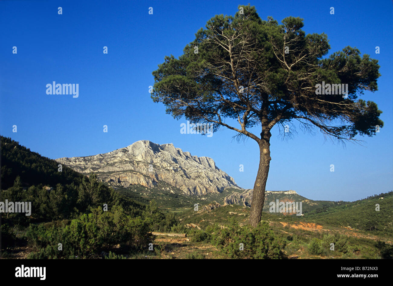 Mont Sainte-Victoire ou montagne sainte Victoire & Pine Tree, Aix-en-Provence ou Aix en Provence, France. Peint par Cézanne Banque D'Images