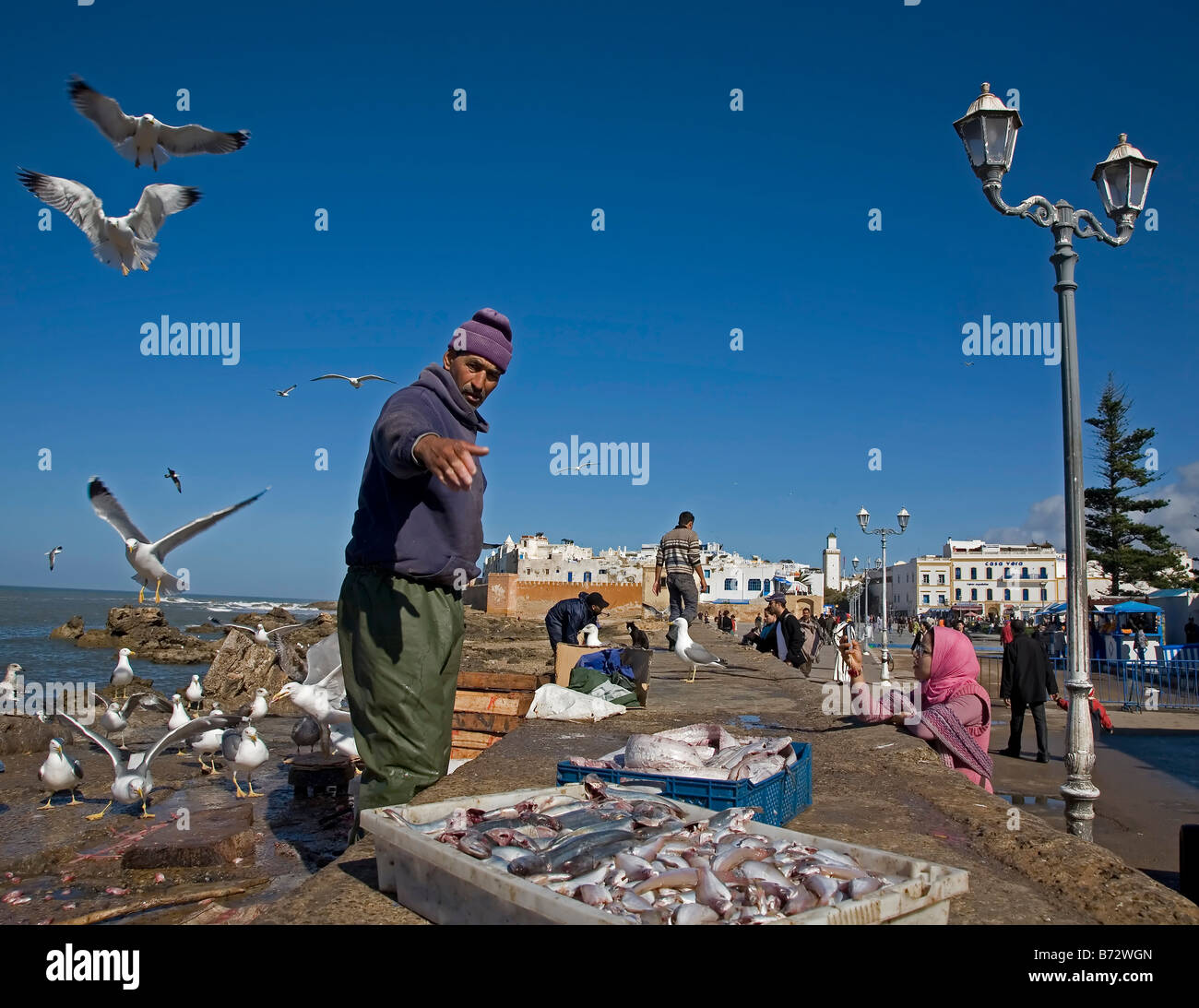 Maroc Essaouira Skala du port port de pêche pêcheurs pêchent les mouettes medina vieille ville fisherman Banque D'Images