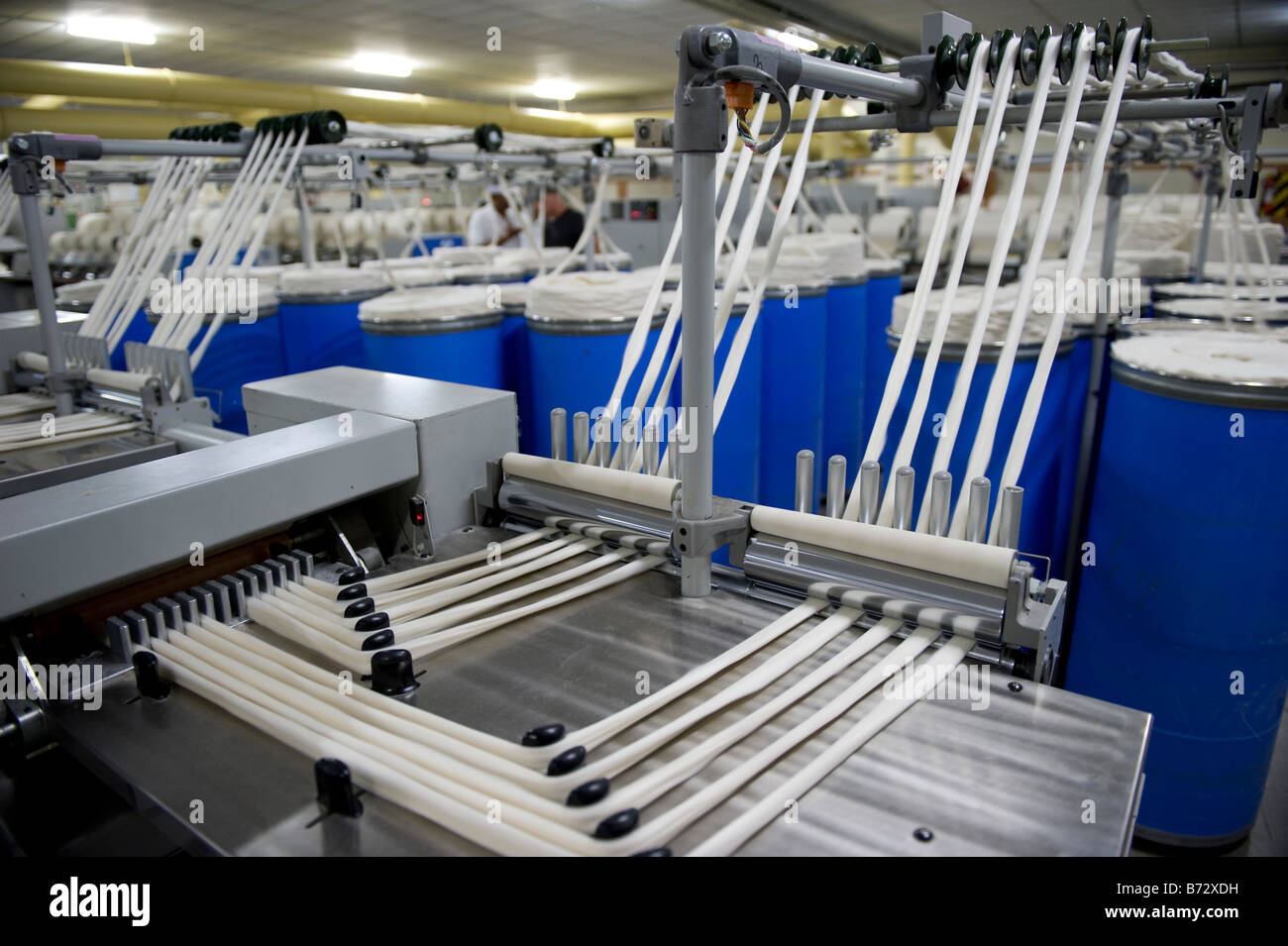 Inde Indore , Mahima Fibres Ltd. filature produisent des fils de coton de coton bio et équitable Banque D'Images