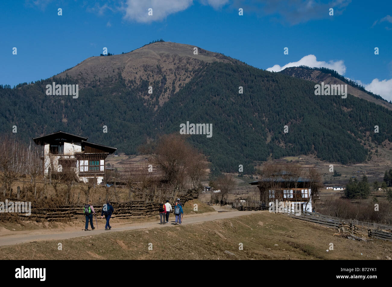 Trekking dans la vallée de Phobjikha gangtey Bhoutan Asie Banque D'Images