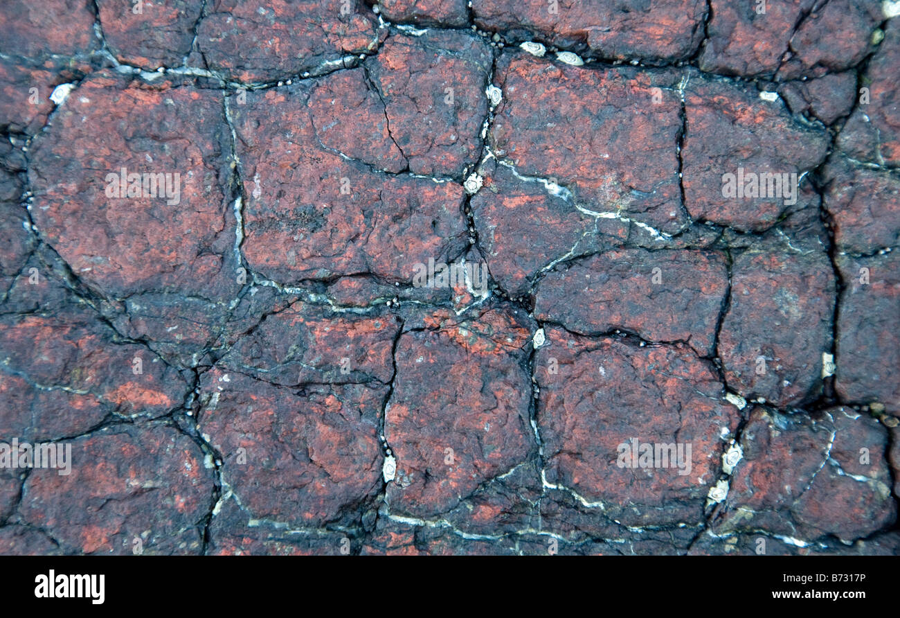 Les veines de la lizardite dans Cornwall coverack serpentine Banque D'Images