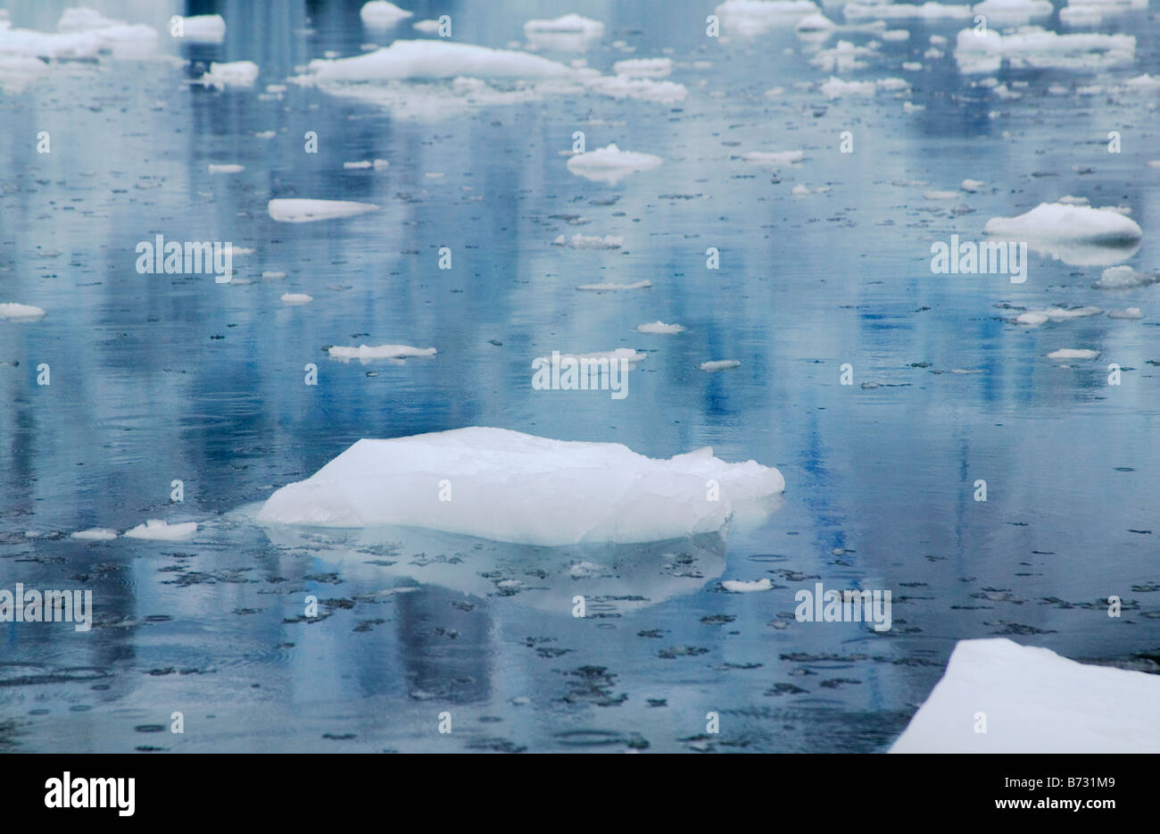 Gouttes de pluie dans d'icebergs de l'océan Antarctique Paradise Bay Banque D'Images
