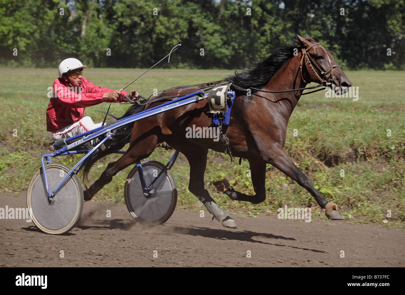 Courses de chevaux trotter faisceau événement tenu atTambov Banque D'Images
