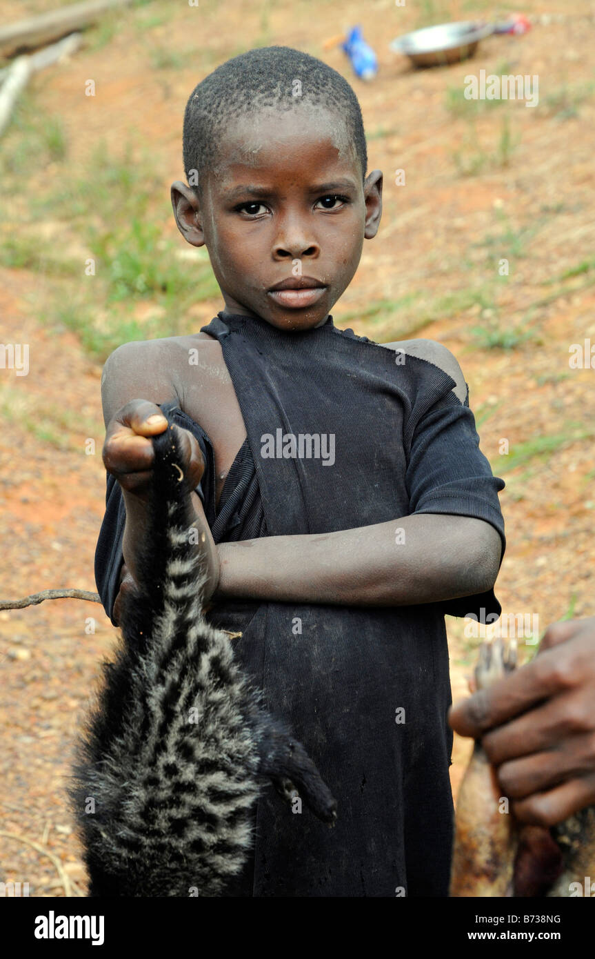 Jeune garçon propose des concerts de civette africaine comme le gibier à la vente sur le bas-côté de la route au Libéria Banque D'Images