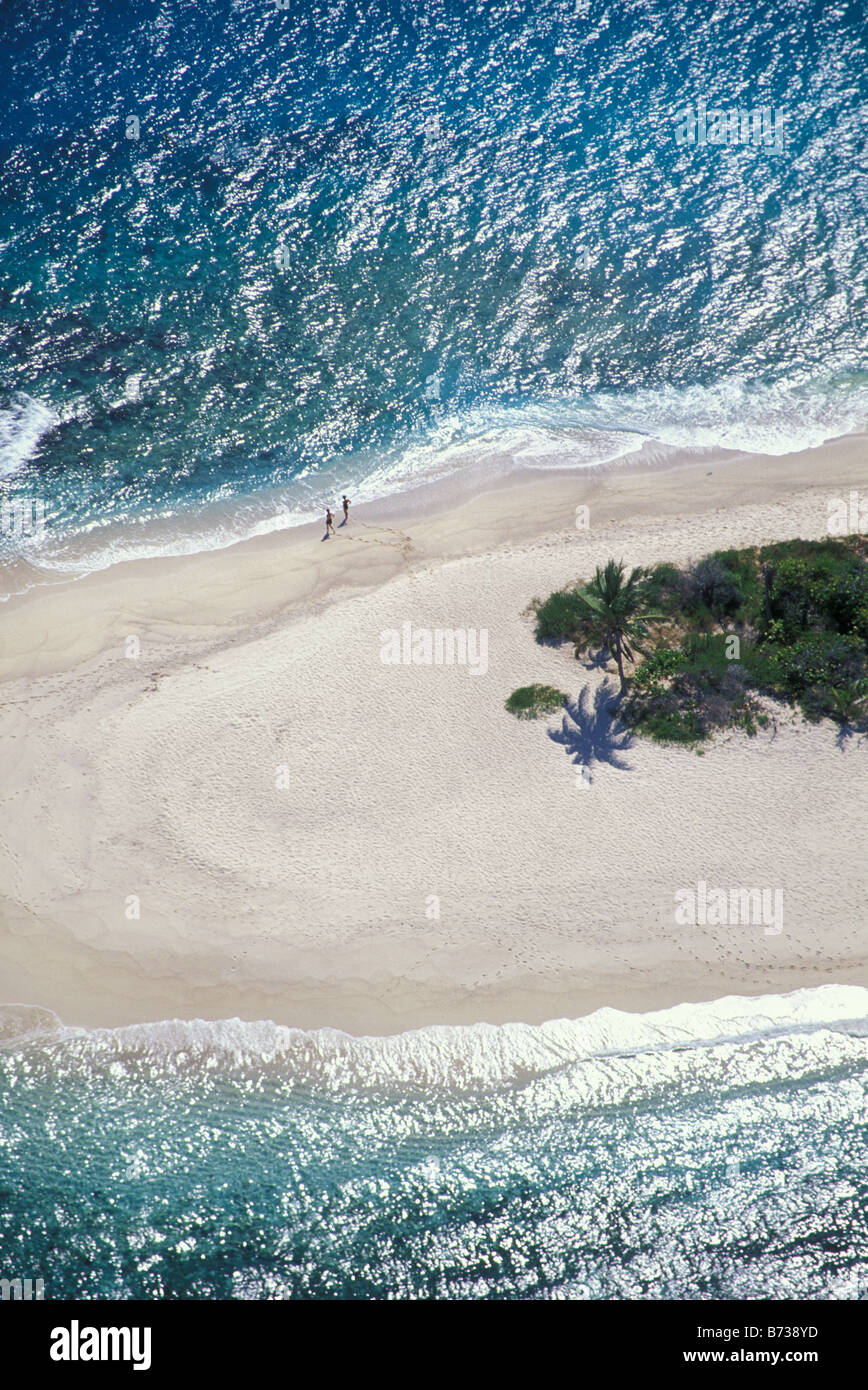 Étendue de plage de sable fin et un peu de végétation sur les petits unihabited îlot dans les îles Vierges caraïbes Banque D'Images